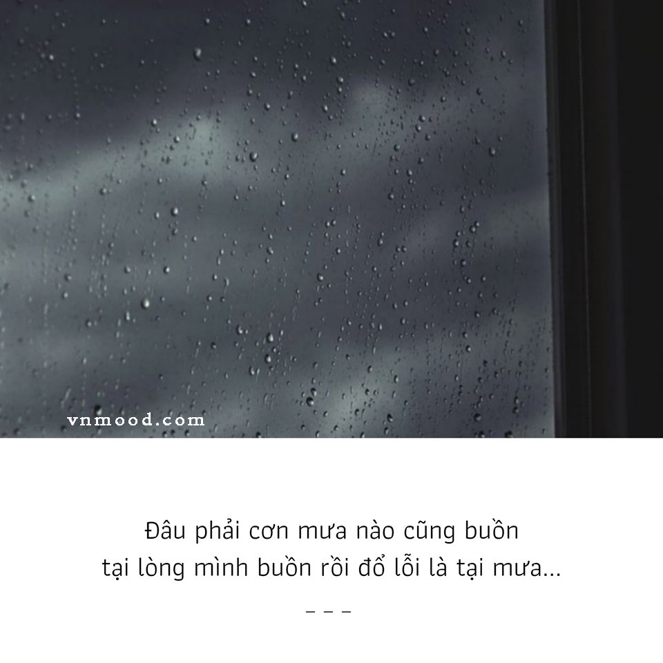  - Hình 20: Đâu phải cơn mưa nào cũng buồn tại lòng mình buồn rồi đổ lỗi là tại mưa...